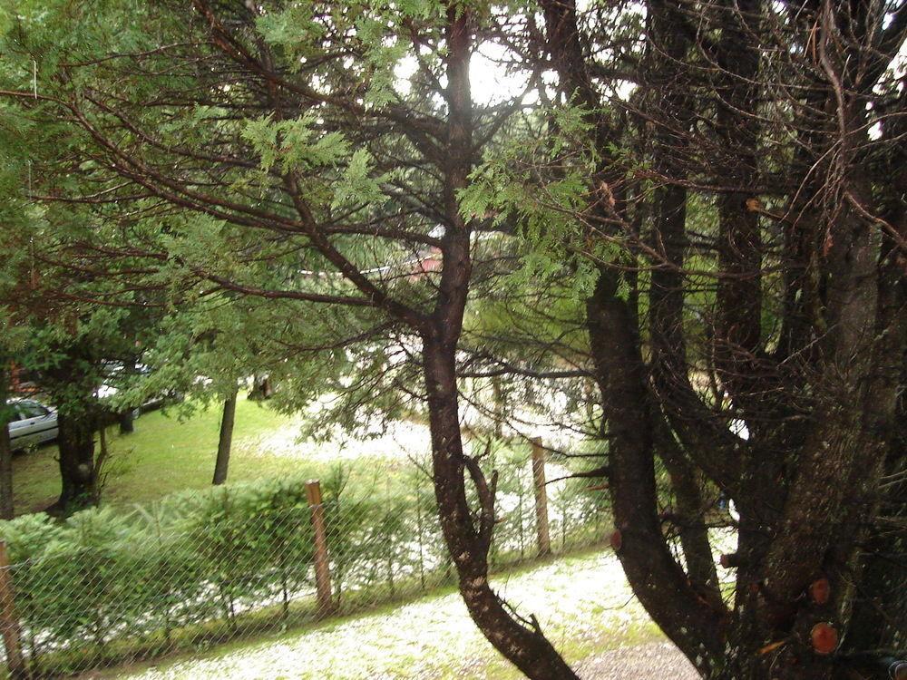 Вилла Tinsel'S House Сан-Карлос-де-Барилоче Экстерьер фото